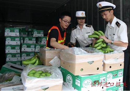 菲律宾进口香蕉海关查验