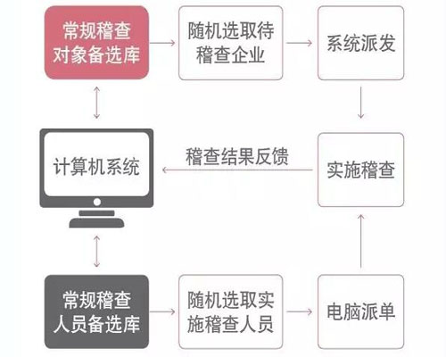 常规稽查双随机查验流程