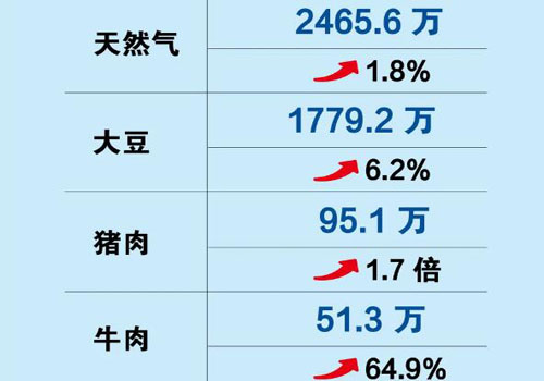 一季度消费品进口增长13%