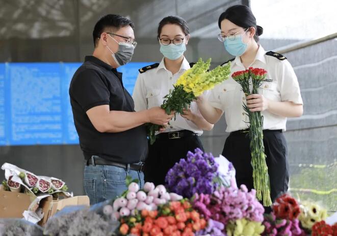 进口鲜花海关抽样检疫