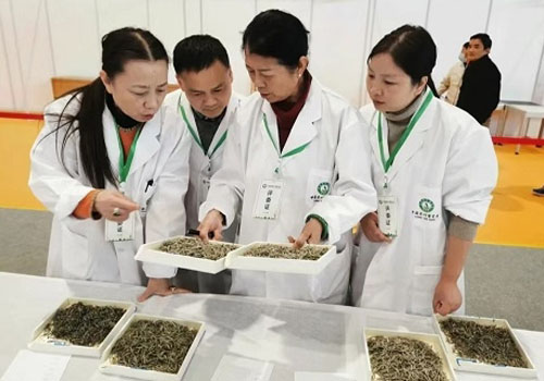 进出口茶叶抽样安全检验