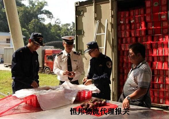 海关开箱查验进口水果